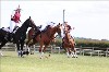 UKPA NC SAT_2566
